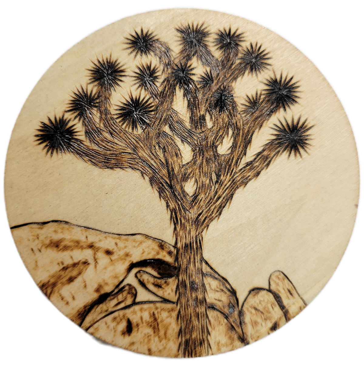 Joshua Tree Wood Pyrography Magnets